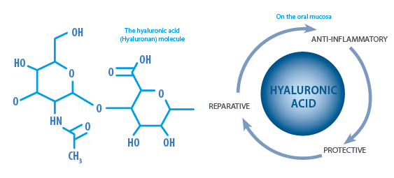 The hyaluronic acid (Hyaluronan) molecule