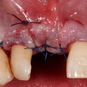 Case Study 6_Image4