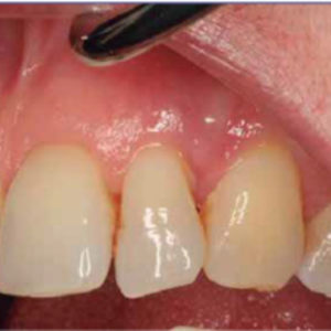 Case Study 1_Image 4